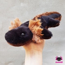 Axolotl Plush black-brown