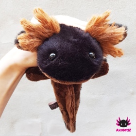 Axolotl Plush black-brown