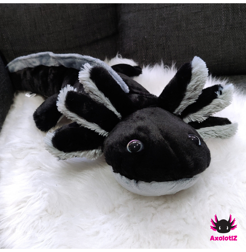 Axolotl Plush black-grey 80cm