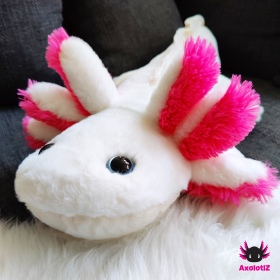 Axolotl Plush white-pink 80cm