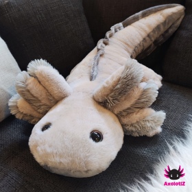 Axolotl Plush lightgrey 80cm