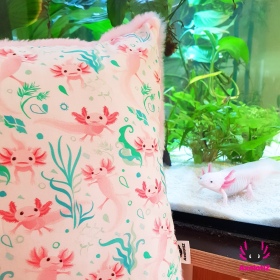 Pillow with Axolotl 4