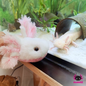 Axolotl Stofftier Glitzer weiß-rosa