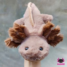 Axolotl Plush lightbrown-brown