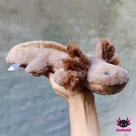 Axolotl Plush lightbrown-brown