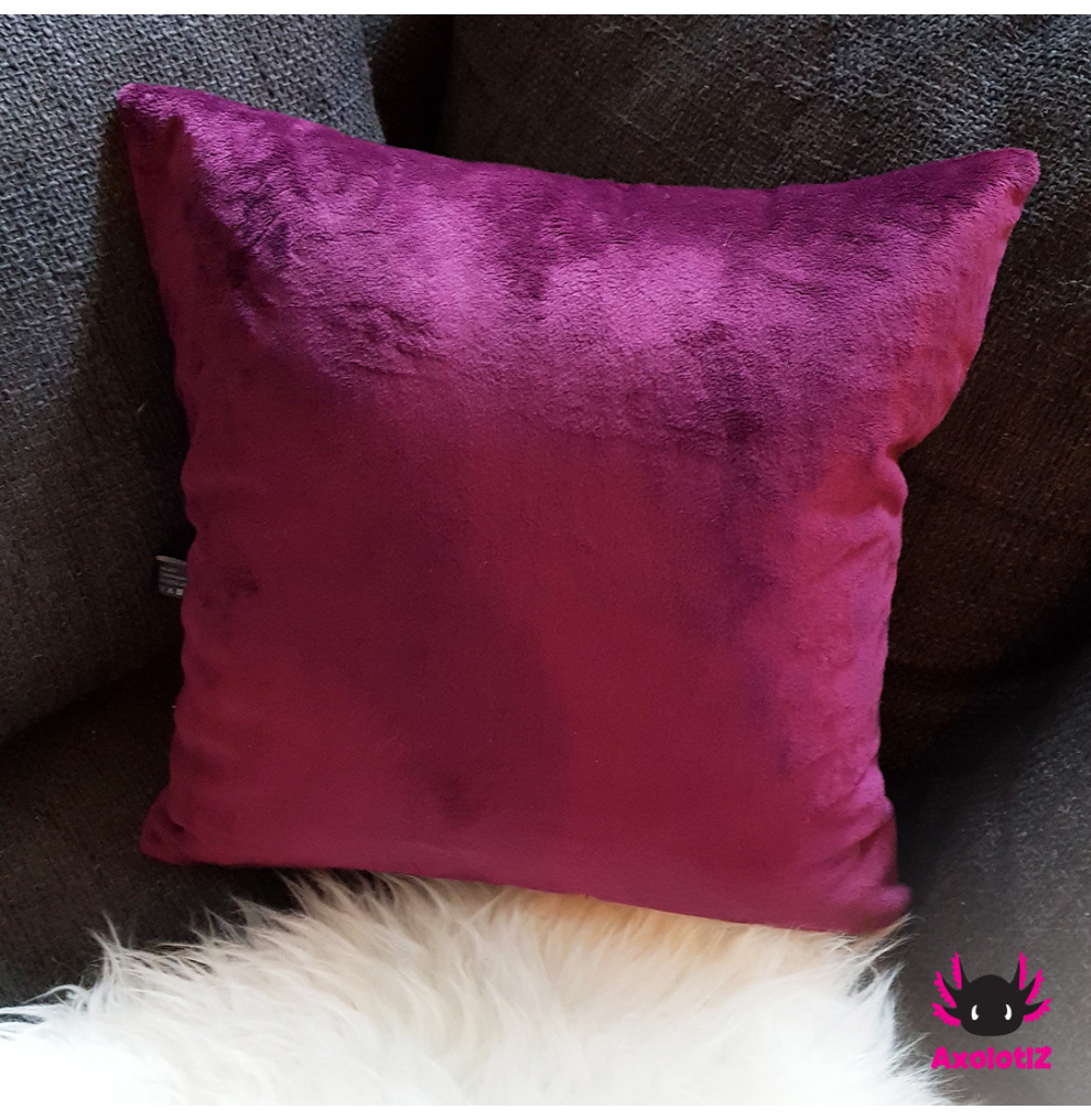 Pillow with Axolotl 5