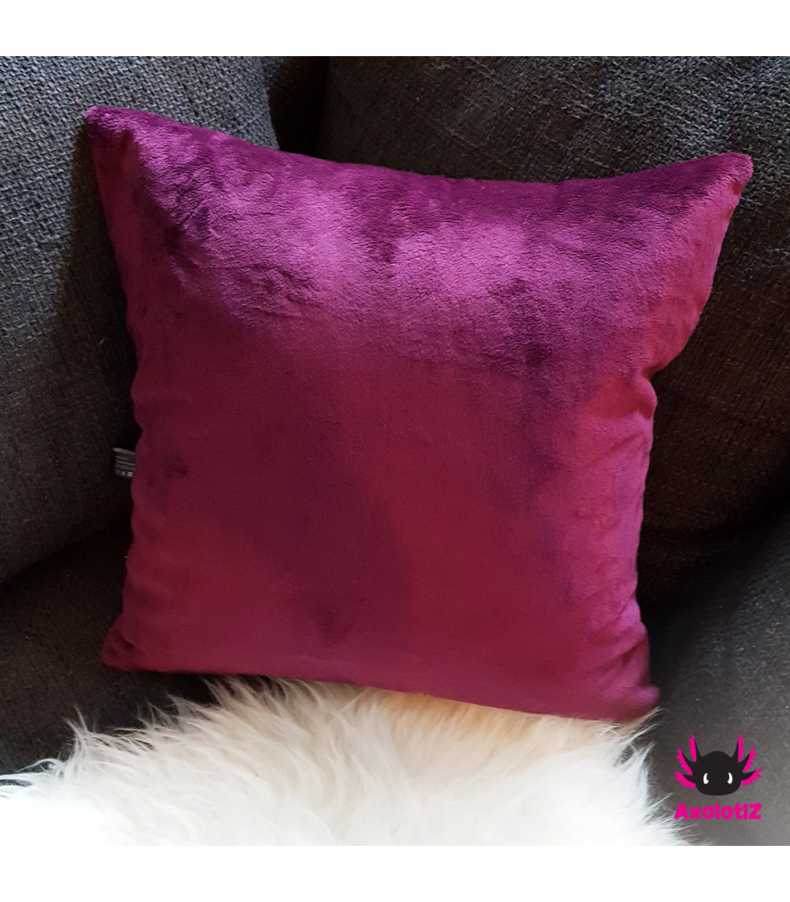 Pillow with Axolotl 5