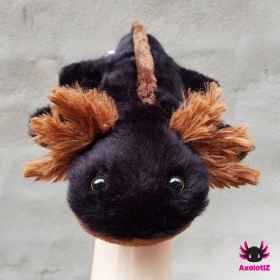 Axolotl Plush black-brown