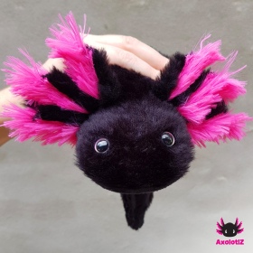 Axolotl Stofftier schwarz-pink