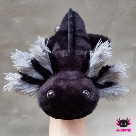 Axolotl Plush black-grey