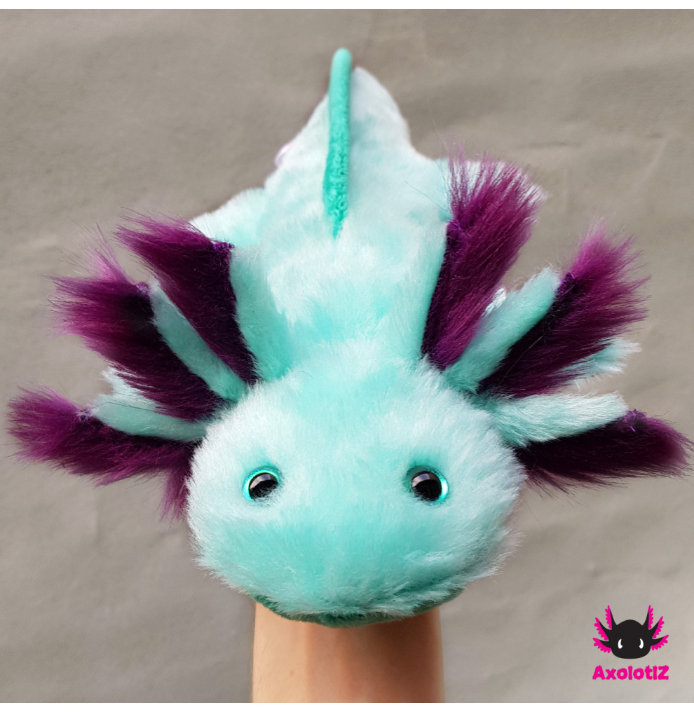 Axolotl turquoise-violet 2.0
